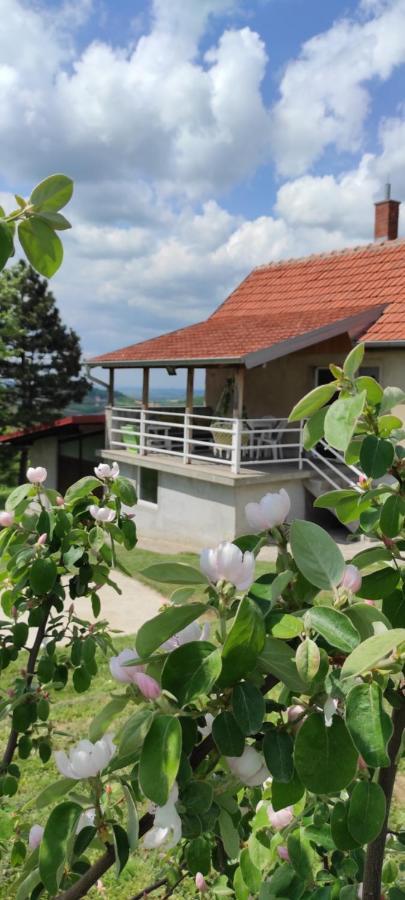 Villa Vikend House Ljig Exterior foto